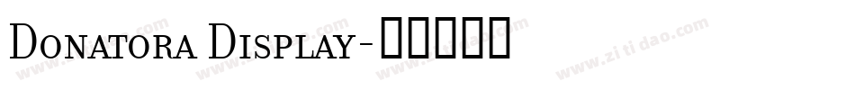 Donatora Display字体转换